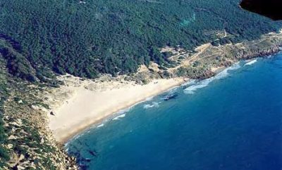 Playa del Cañuelo