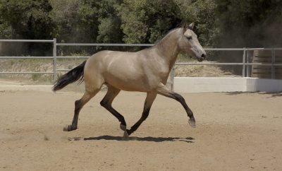 Ruta a caballo