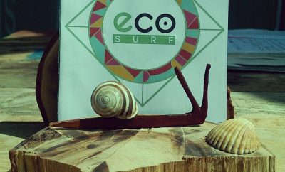 Curso de Surf (Eco-Surf)