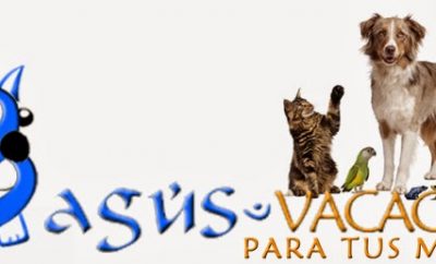 Bagus Vacaciones para tus mascotas